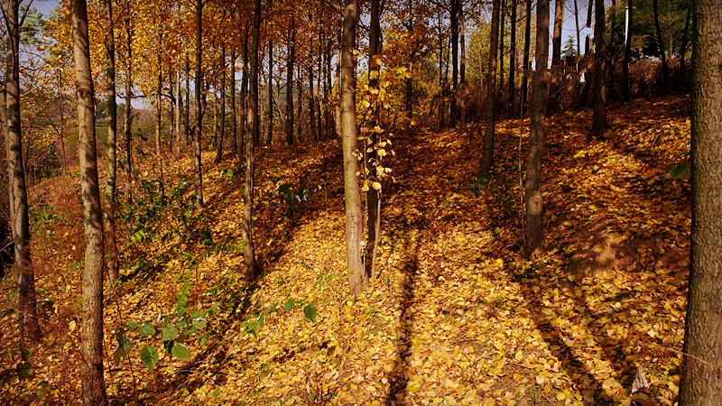 P1160417_.jpg