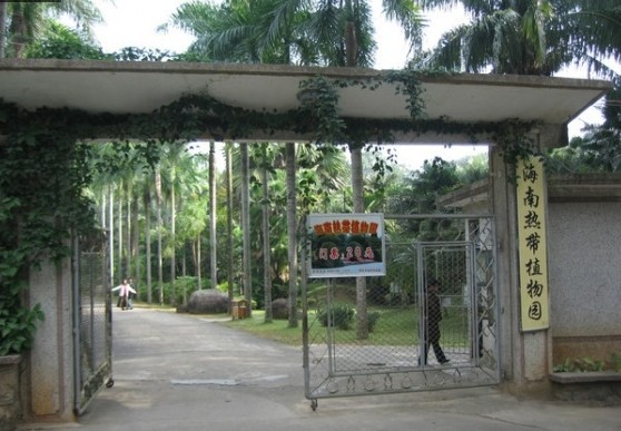 δ111.jpg