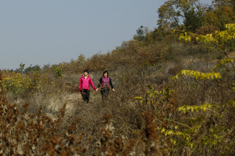 _MG_6679.jpg