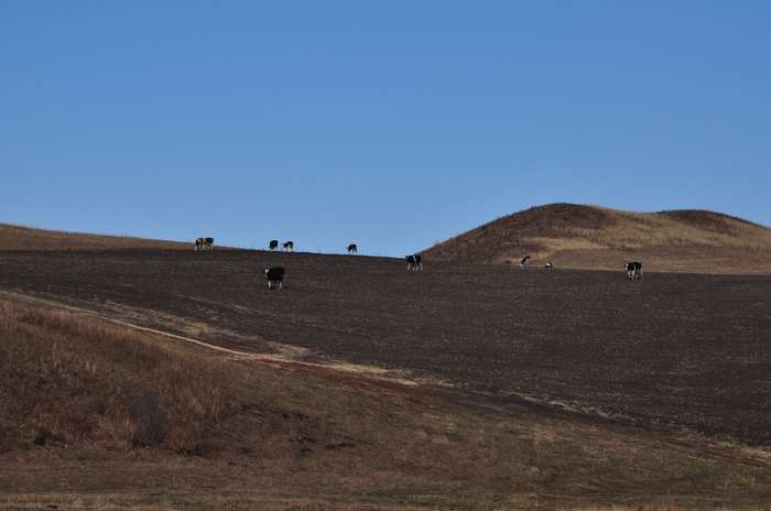 DSC_0360.jpg