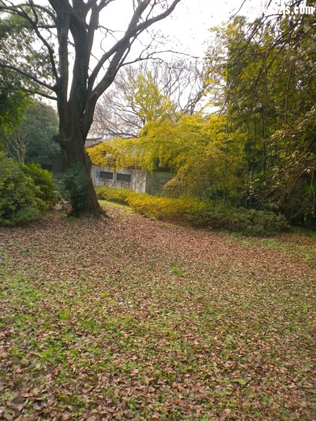 IMGP8147.JPG