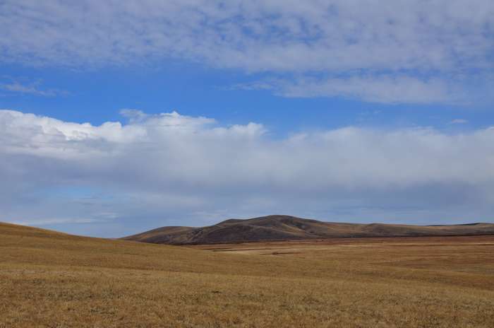 DSC_0167.jpg