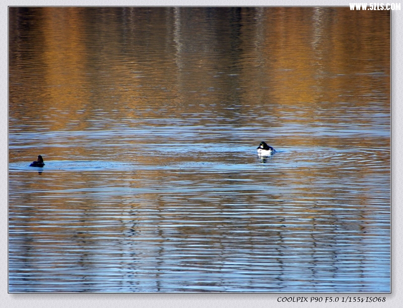 DSCN3776.jpg