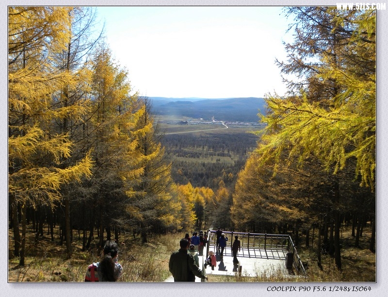 DSCN3805.jpg