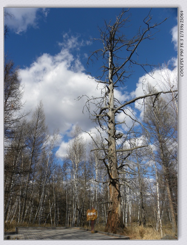 DSCN3845.jpg