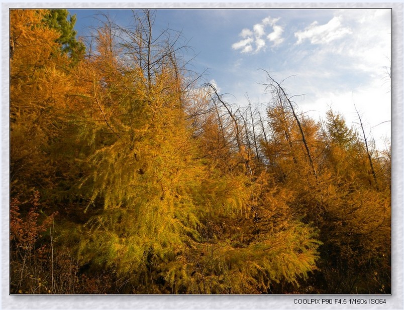 DSCN3981.jpg
