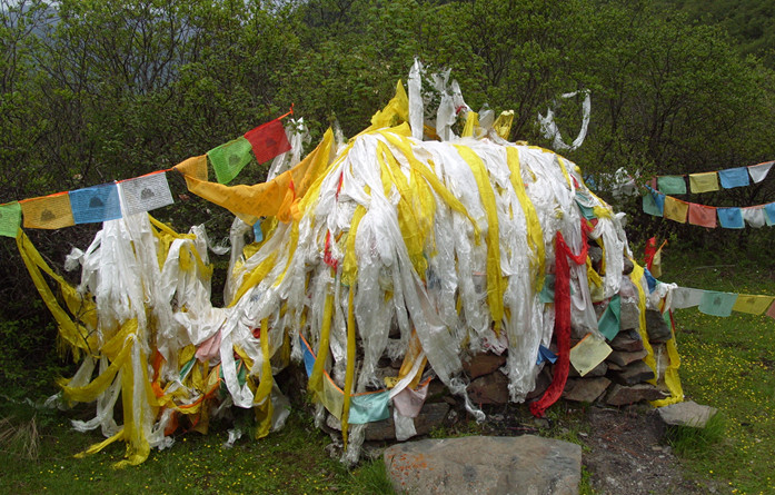 67.JPG