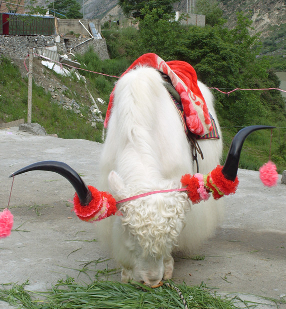 158.JPG