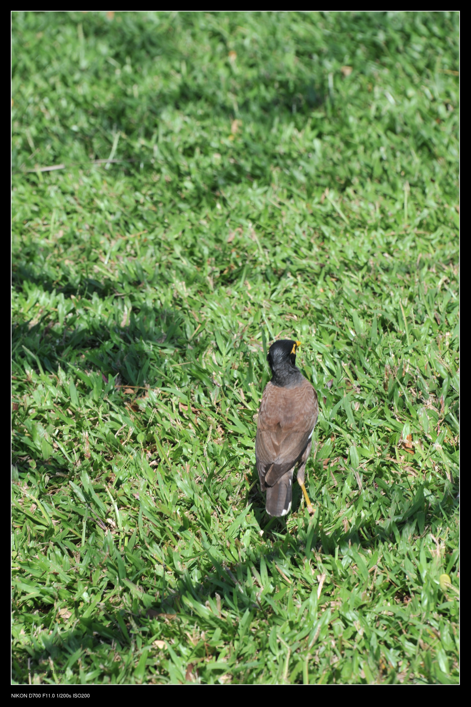 DSC_6102.jpg