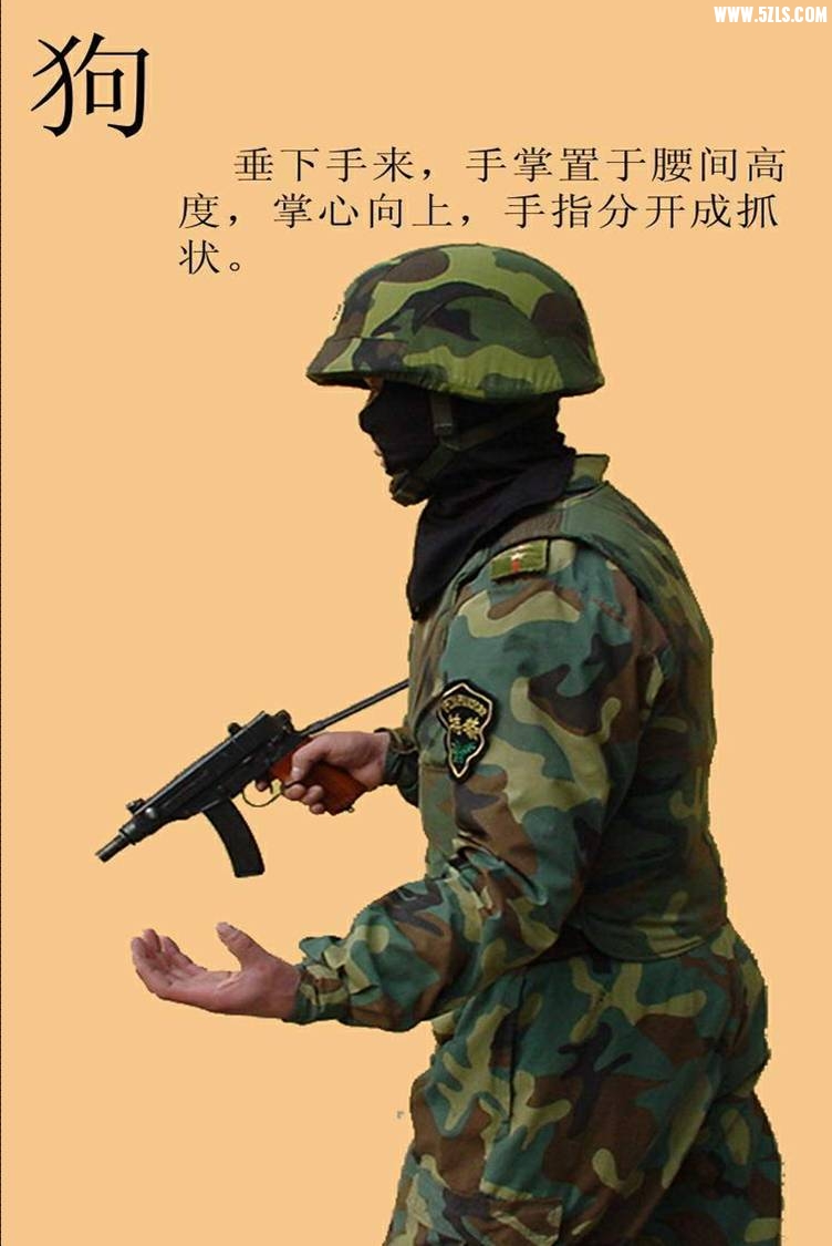 ͼƬ19.jpg