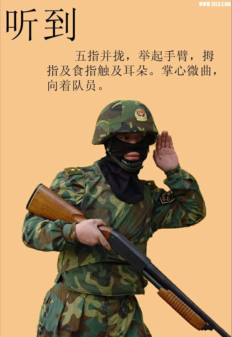 ͼƬ48.jpg