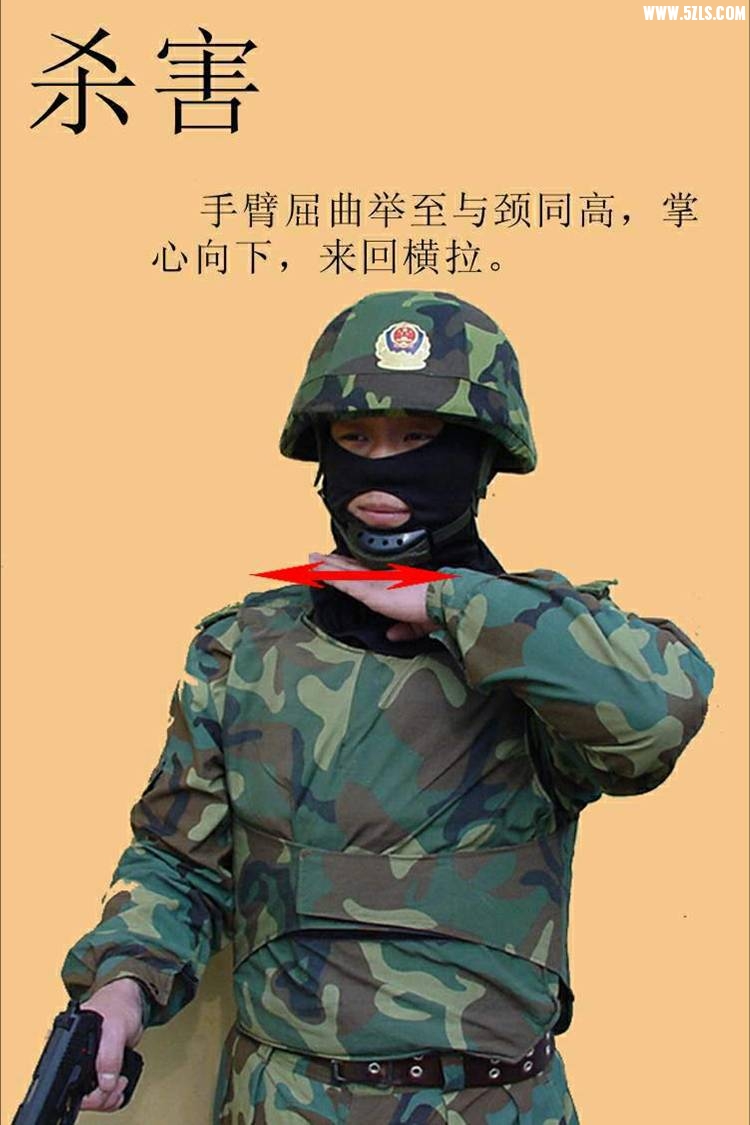 ͼƬ51.jpg
