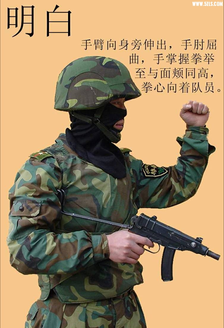 ͼƬ52.jpg
