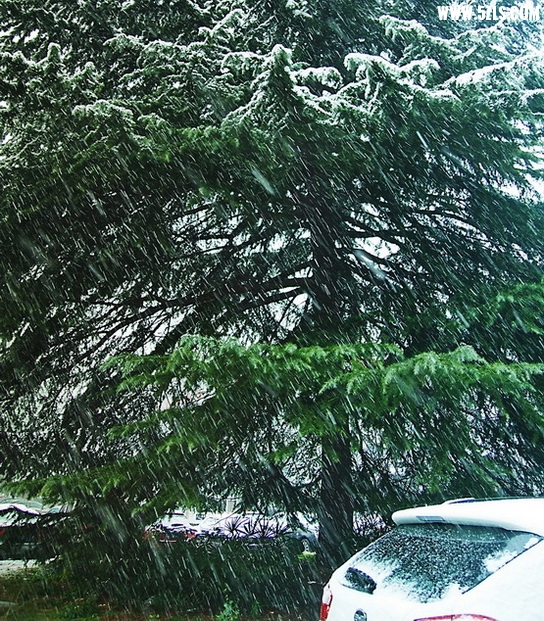 2012_12_26_0437-2.jpg