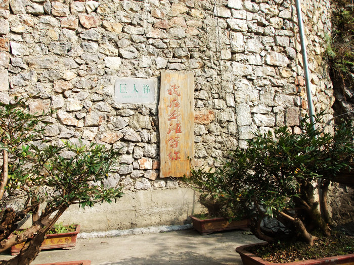 DSCF0241.JPG