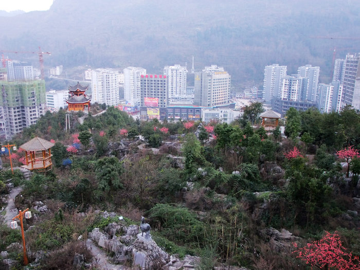 DSCF0425.JPG