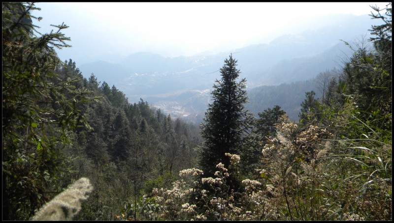 conew_Ƭ 005.jpg
