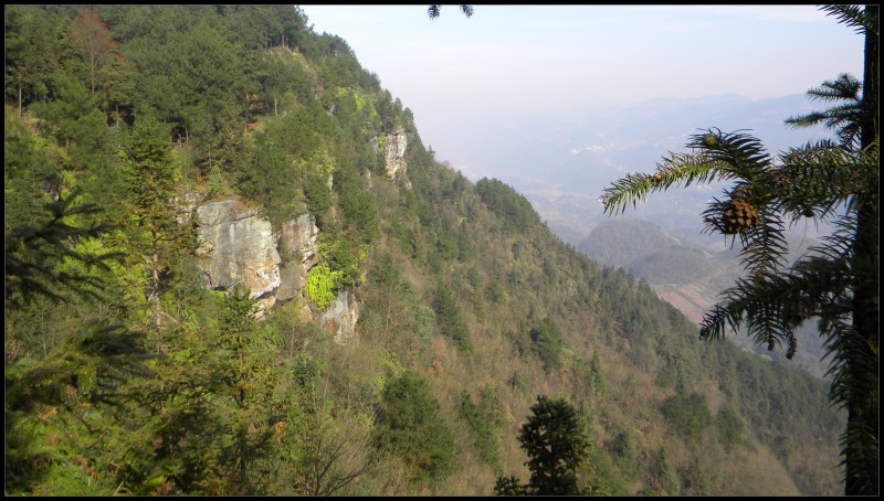 conew_Ƭ 018.jpg