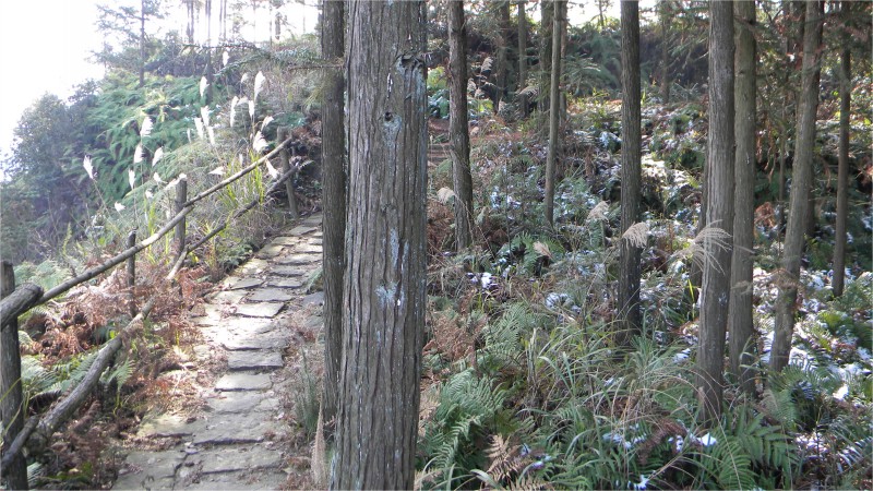 conew_Ƭ 022.jpg