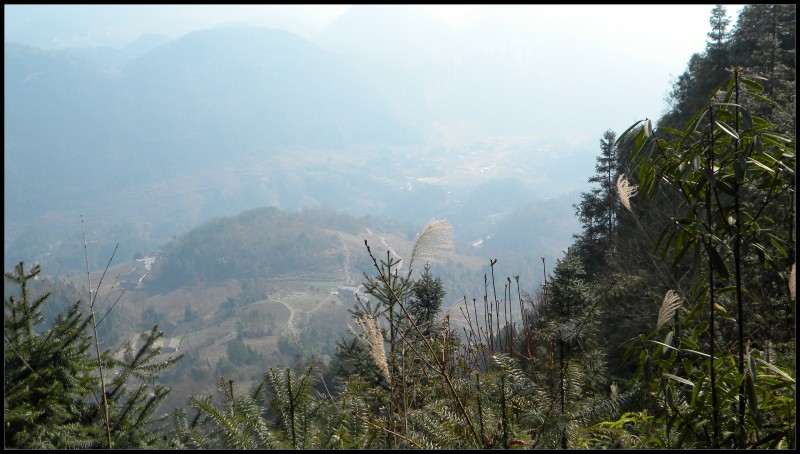 conew_Ƭ 025.jpg