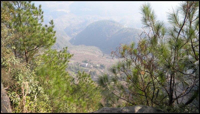 conew_Ƭ 029.jpg