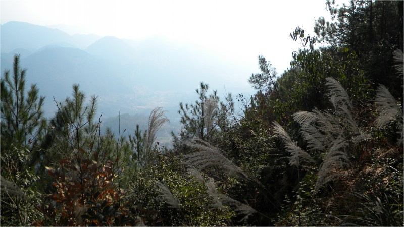 conew_Ƭ 032.jpg
