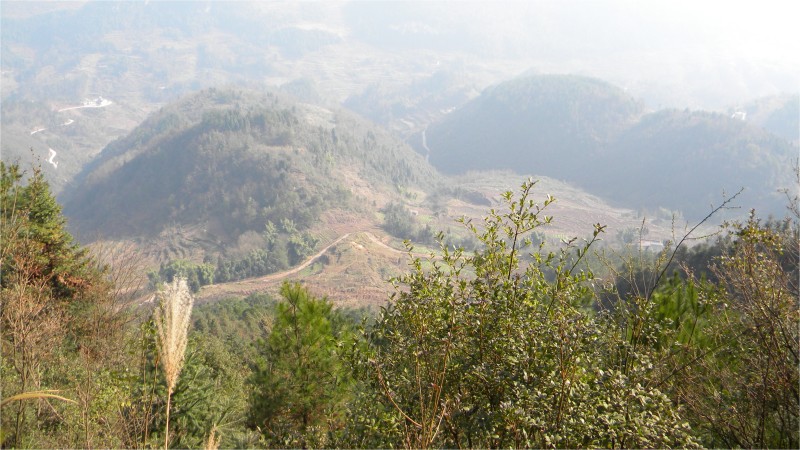 conew_Ƭ 036.jpg