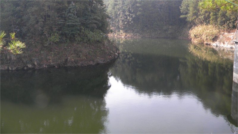 conew_Ƭ 038.jpg