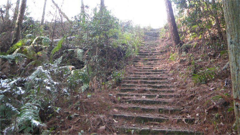 conew_Ƭ 042.jpg