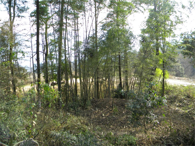 conew_Ƭ 065.jpg