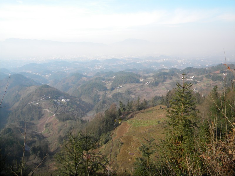 conew_Ƭ 074.jpg
