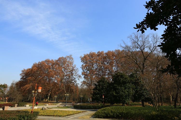 3C1A7874.JPG