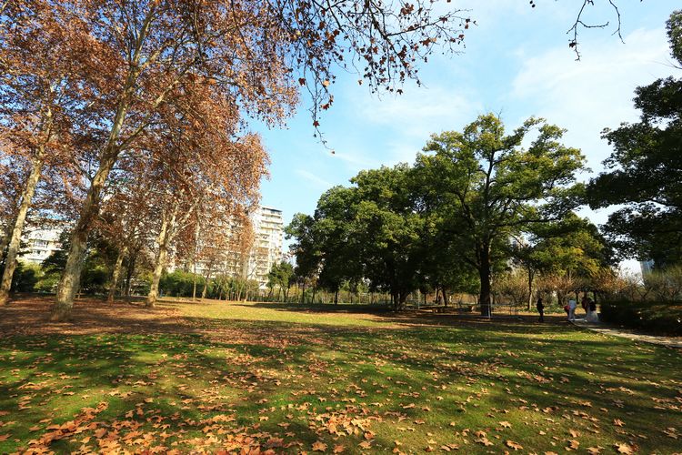 3C1A7944.JPG