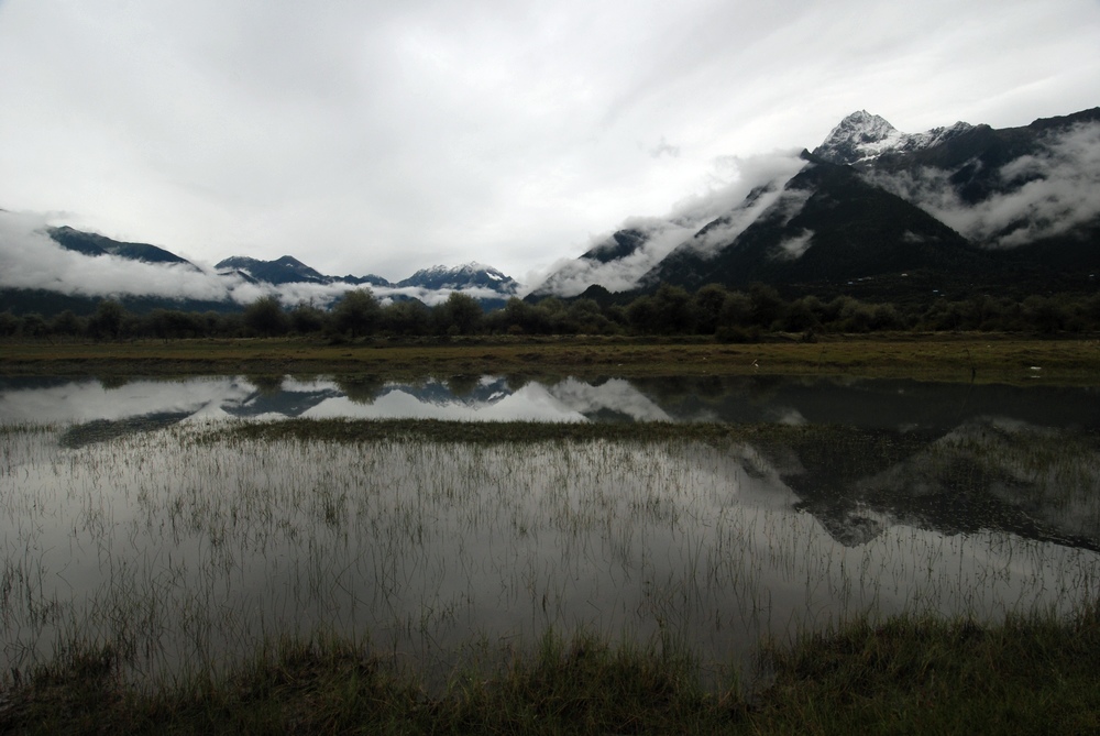 dsc_0973.jpg