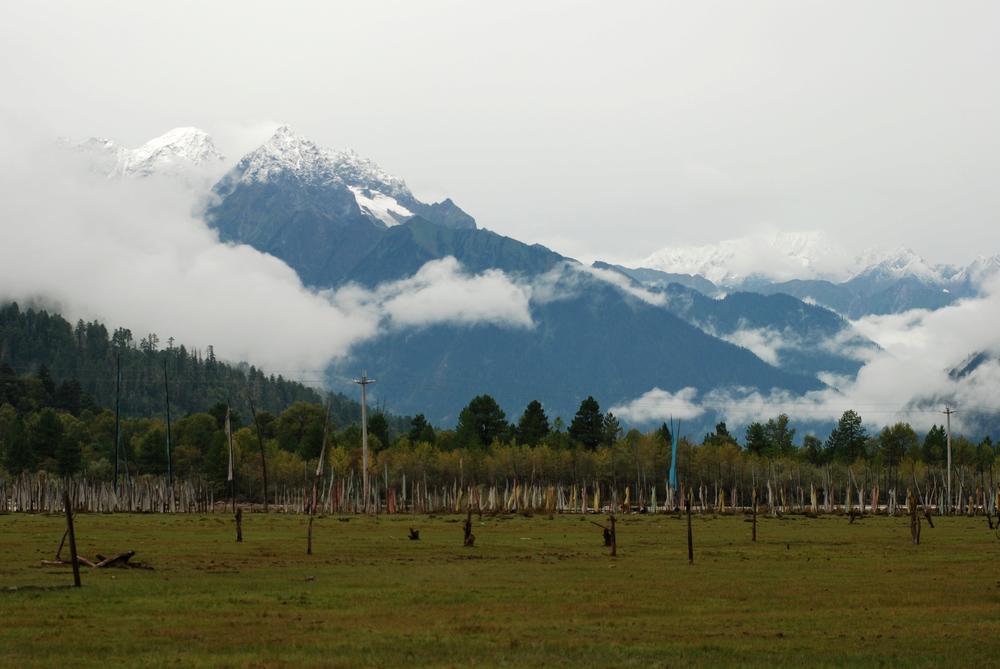 dsc_0960.jpg