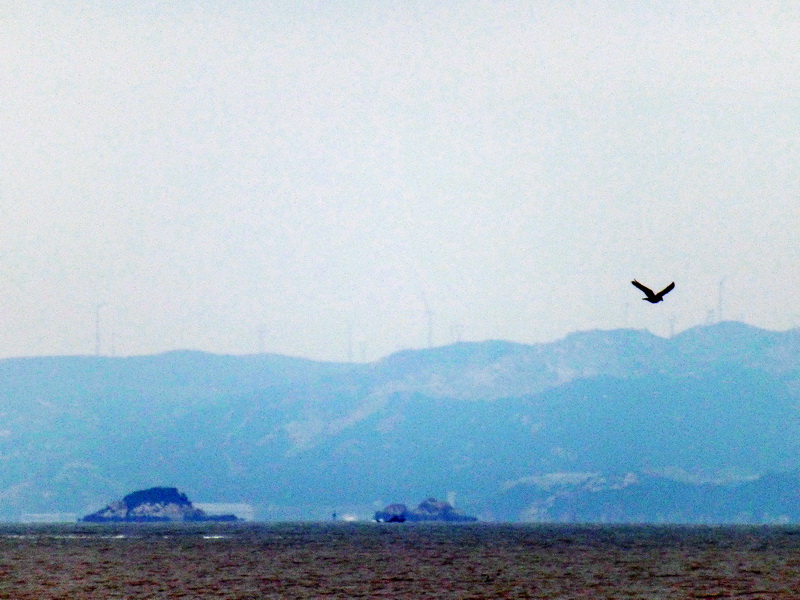 p1020122.jpg