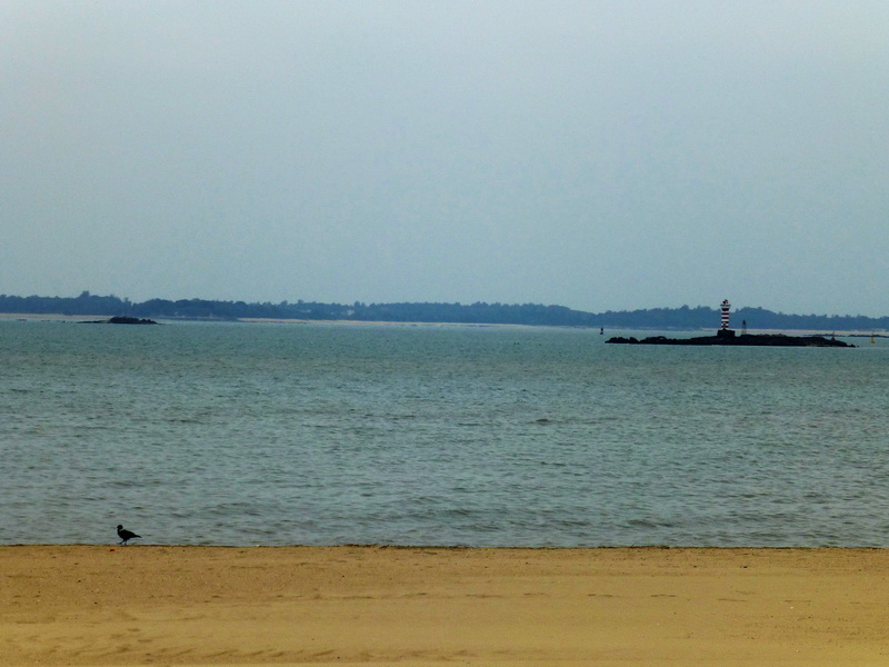 p1020127.jpg