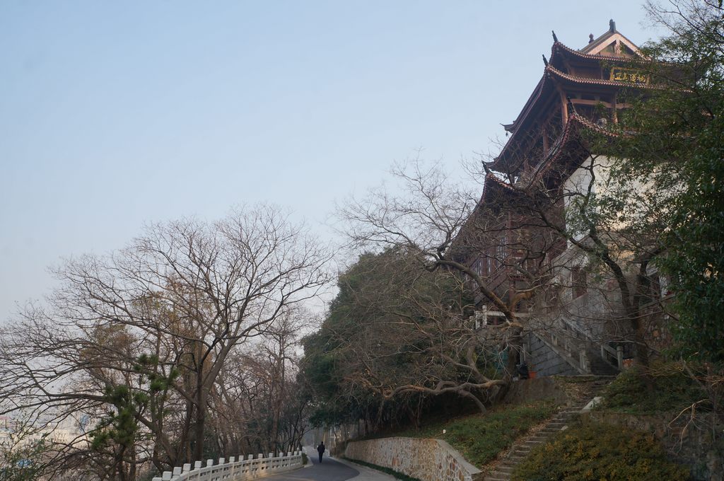 dsc09242.jpg