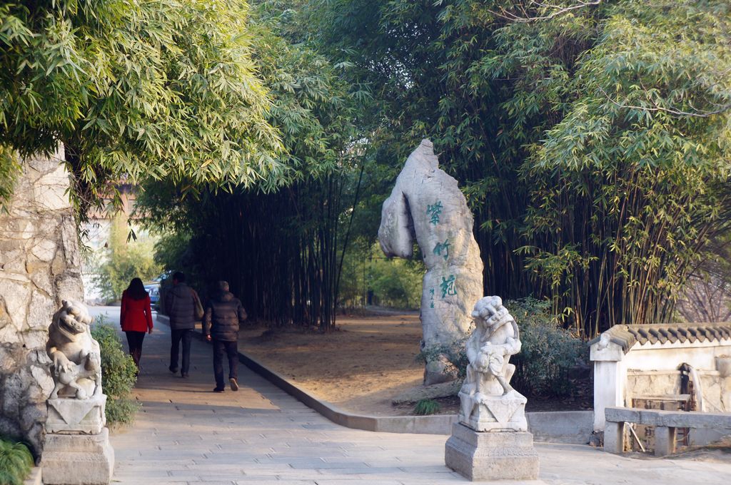 dsc09316.jpg