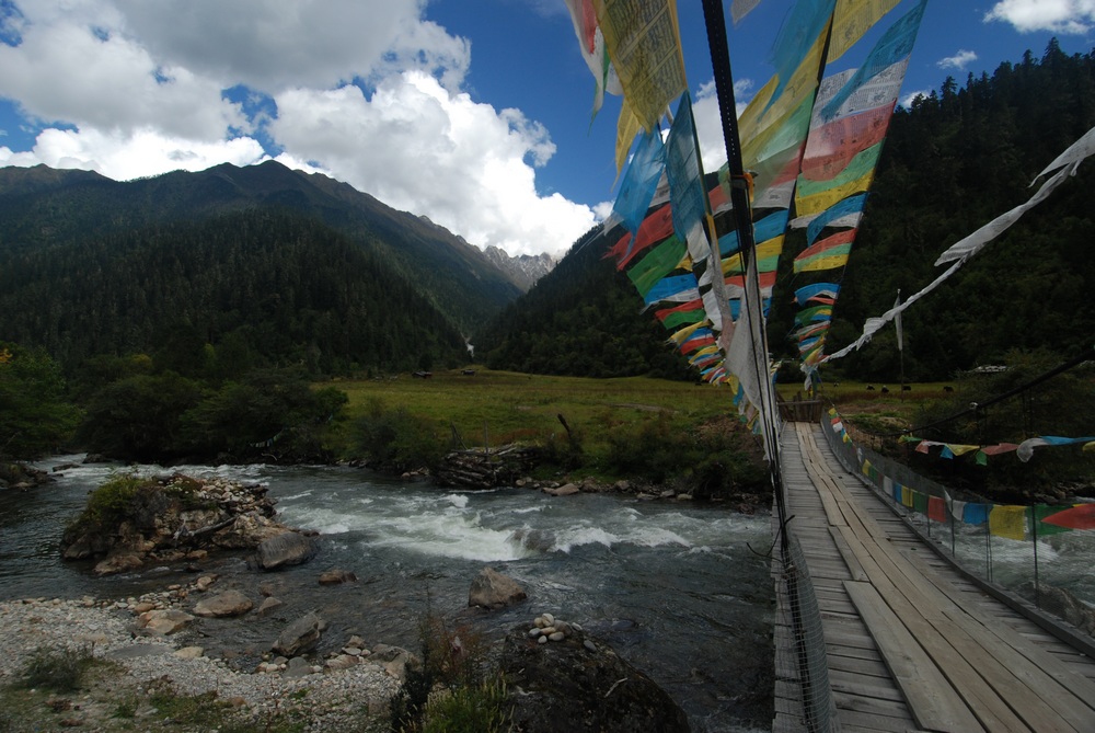 dsc_0318.jpg