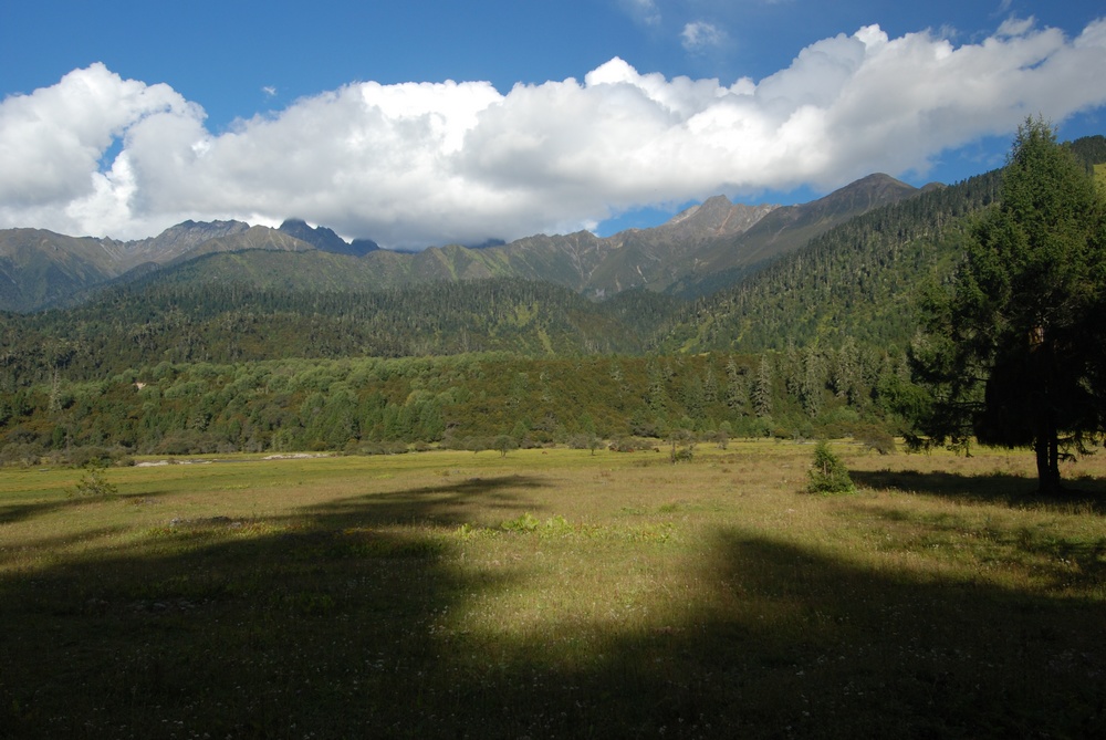 dsc_0356.jpg