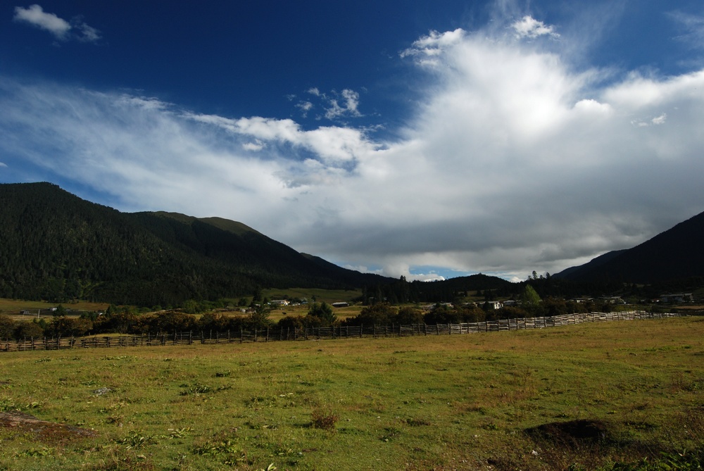 dsc_0364.jpg