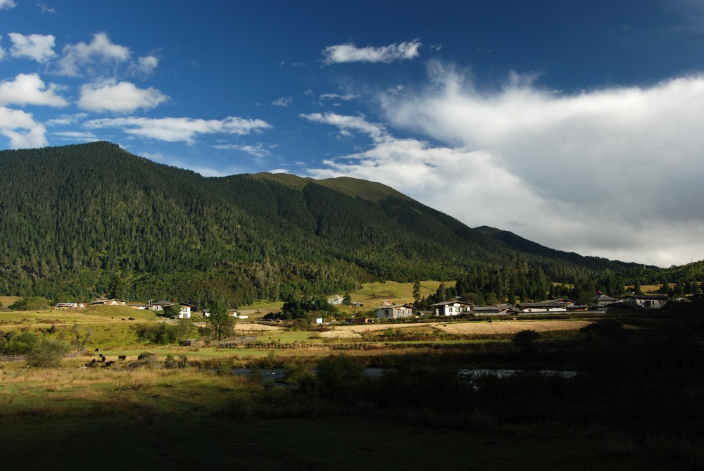 dsc_0380.jpg
