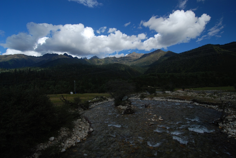 dsc_0340.jpg