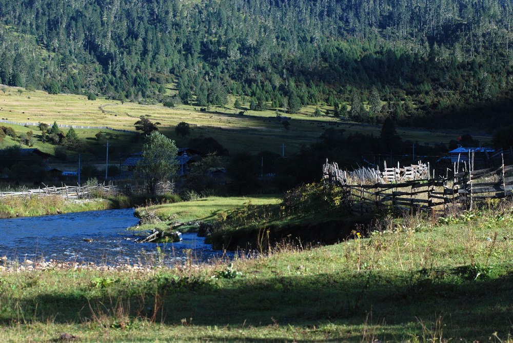 dsc_0406.jpg