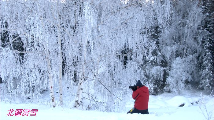 dsc_0023.jpg.1.jpg