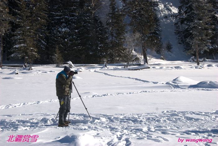 dsc_0182.jpg.1.jpg