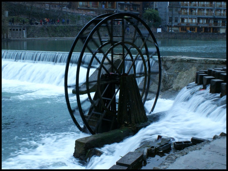 conew_dsc08486_conew1.jpg