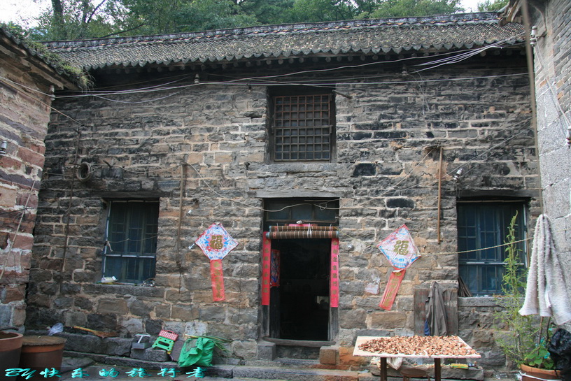 1194.jpg