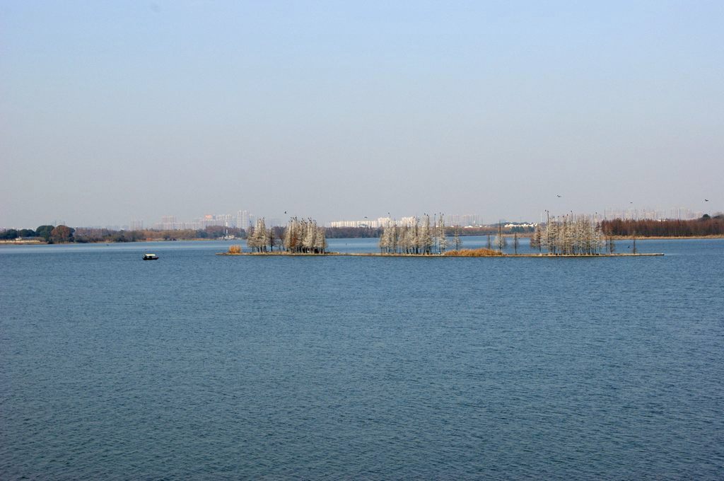 dsc07331.jpg